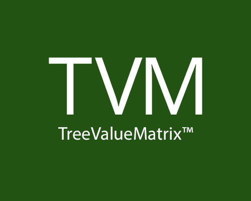 TreeValueMatrix